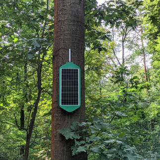 silvanet mesh gateway