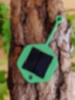 wildfire detection