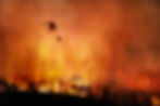 devastating wildfire