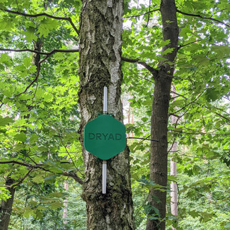 dryad border gateway