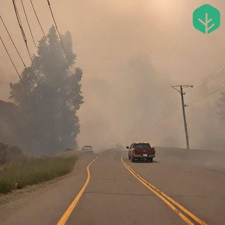 wildfire smoke