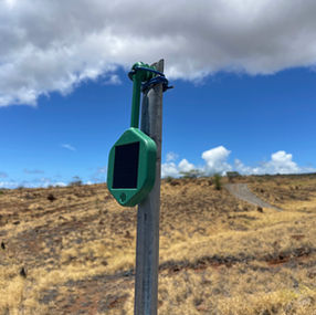 silvanet wildfire sensor hawaii