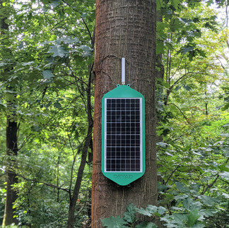 dryad mesh gateway