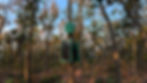 A green device with a solar panel labeled "Dryad" is attached to a tree in a sunlit forest with colorful autumn leaves and a blue sky.