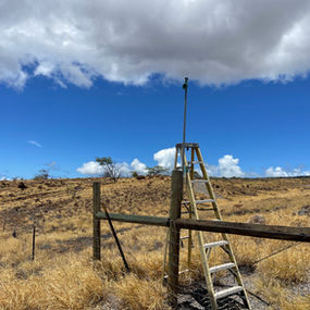 silvanet wildfire sensor