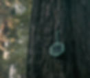 Dryad wildfire sensor on a tree