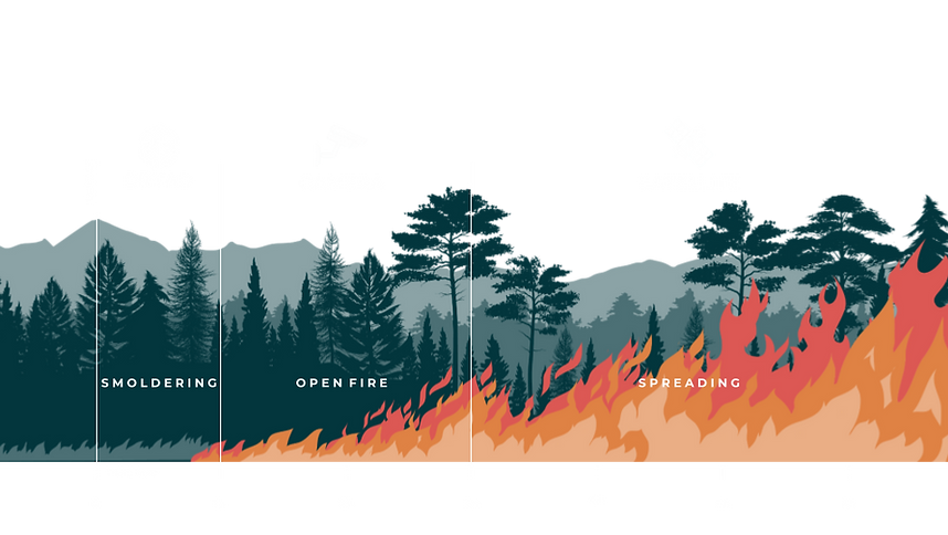 Competitive Slide 4.png