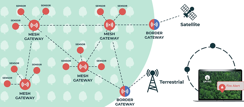 NETWORK ARCHITECTURE_white background (1) (1).png